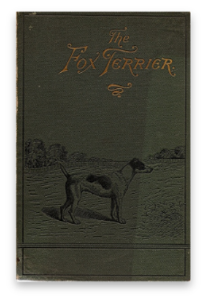 stacks_image_445BB329-ACB4-43EC-BC9A-DC68C860B255