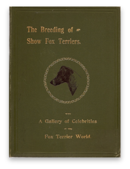 stacks_image_0AA9EA6A-C2FE-4FEF-ADCC-889C1ECAC35C