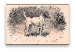 stacks_image_1EBAB8F8-6AA4-4DFE-AE01-1EFE00D2AB1A