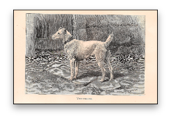 stacks_image_BC05C7FF-B291-4518-936C-CFC39BF553A9