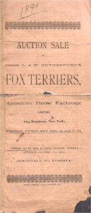 stacks_image_EC226CA7-8065-451D-912C-2C047DFE478A