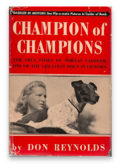 stacks_image_4A45C5DE-C518-4DCD-9F38-20FD23023B2D