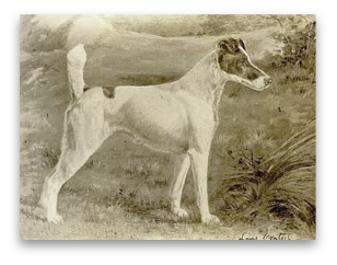 stacks_image_239988D8-0972-4965-BF4B-BAE7DE949ECC